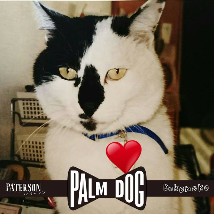 Cbdfc3a7 b52e 477d 82e2 6d55a7fa32ba