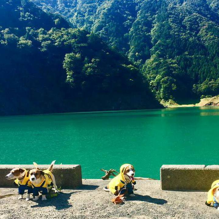 Cbe050f3 e2c6 4586 b098 7258909b280c