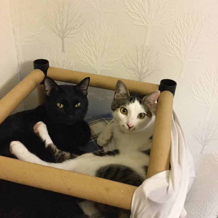 Cbe074c6 a7a2 44f7 8f97 33c401274227