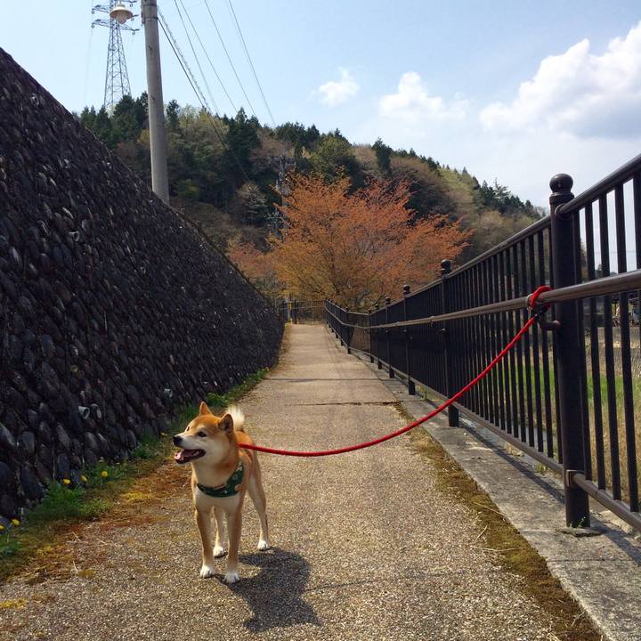 Cbe1169f a38f 4f4e aa2e 2fe3a92a911d