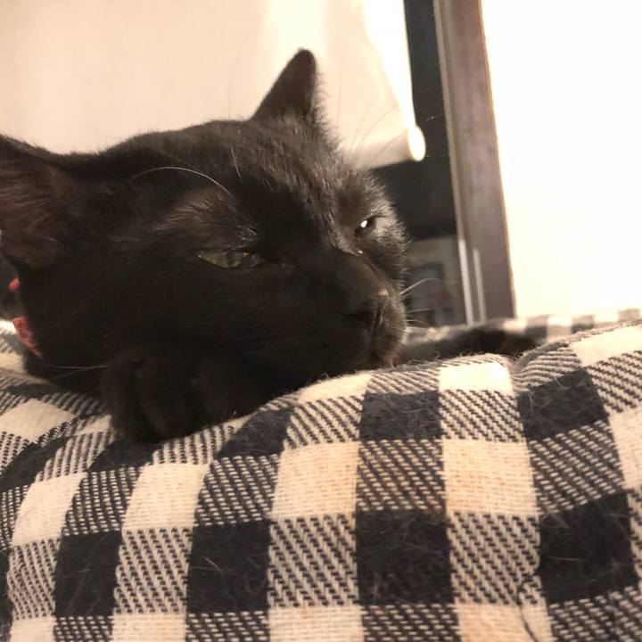 Cbe1ac7c cb7c 426d 9bab 8560d48da16f