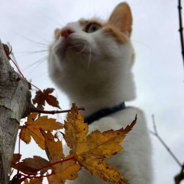 Cbe1d1b3 bfa9 489b 840e d28c1e826eb6