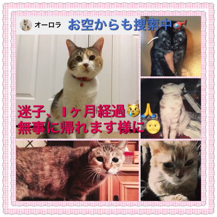 Cbe205fb dcb7 4878 9321 35ba06c2bc39