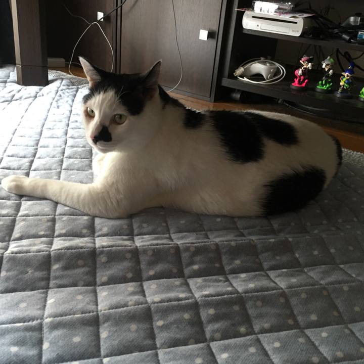 Cbe20ad0 f039 4fad bffb 859972deeefa