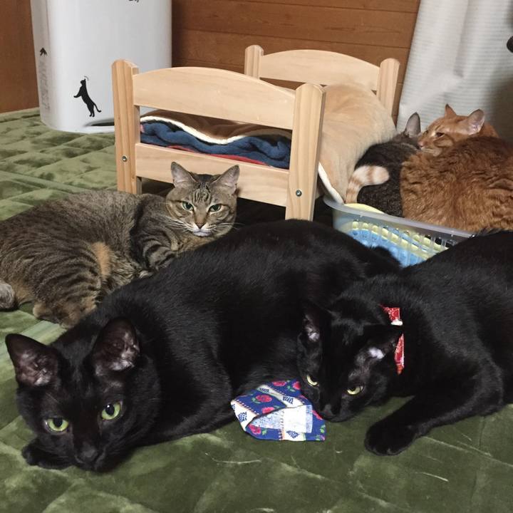 Cbe308fb fbb9 433b bc49 f60eb3b68ca3