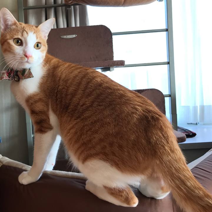 Cbe3259c 6d12 43bc 9d8f 326fa0552fef