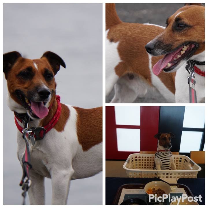 Cbe39ce1 f1ce 42f2 bef7 df6f84f61861