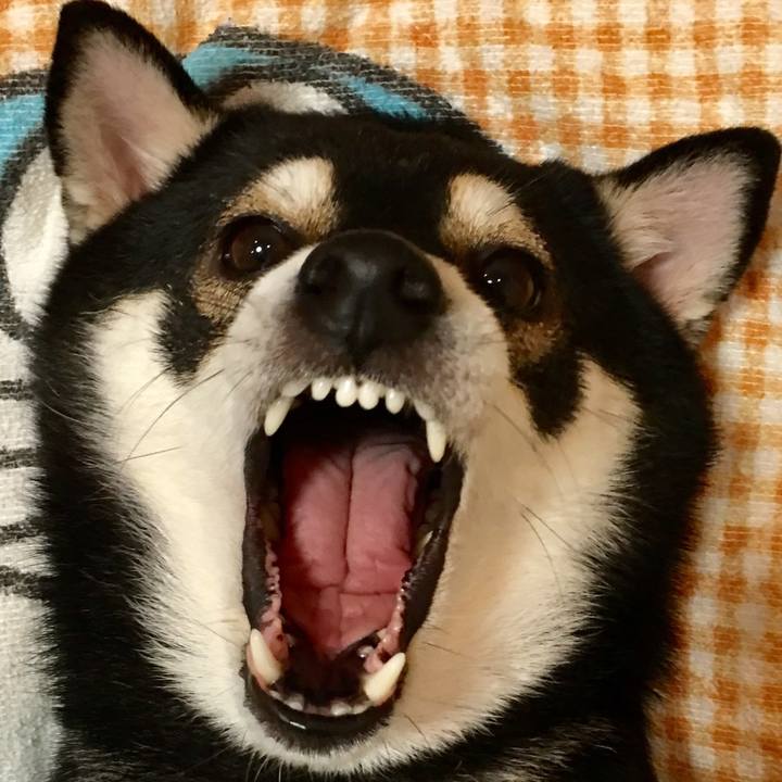 Cbe51921 3e05 46ad 97a1 abbf95388831