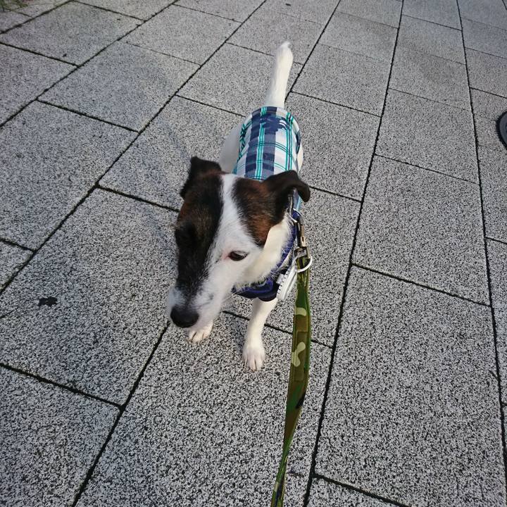 Cbe55548 5a65 486a 9027 7da340385254