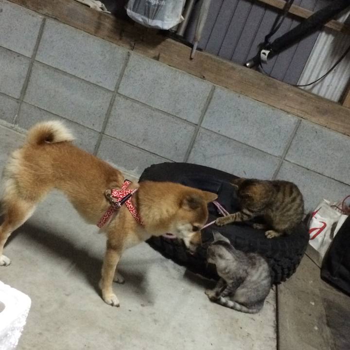 Cbe5af5a 3d69 432a 9e89 ac498f7721fc