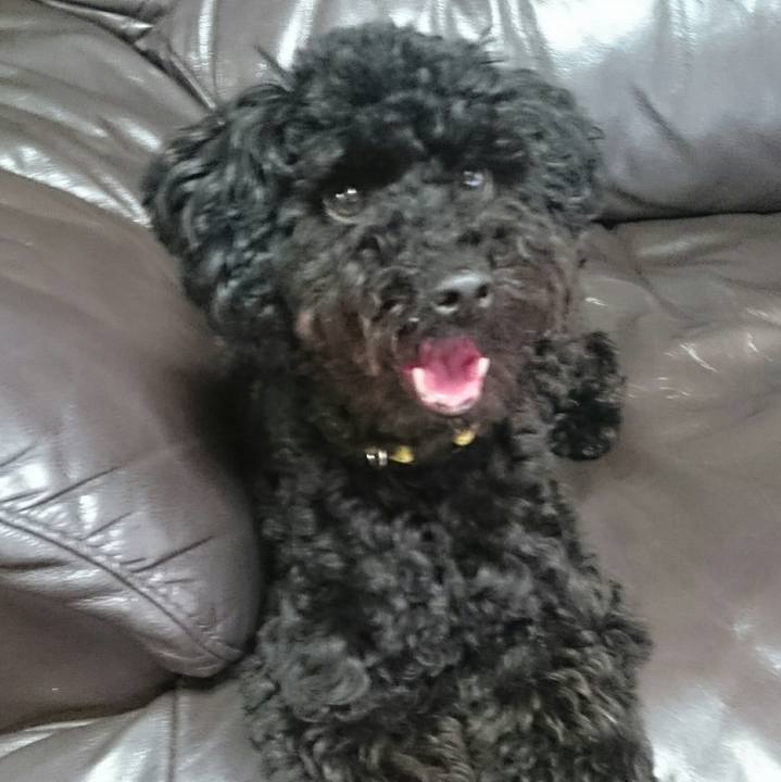 Cbe60eac 316c 4947 b798 0ea182a1a7d5