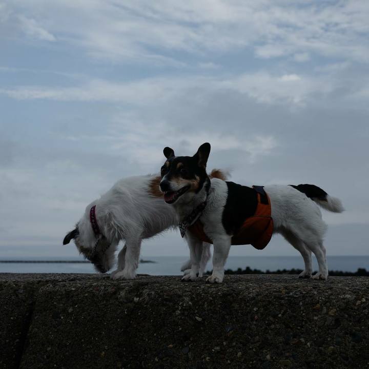 Cbe68cdf 0ba6 49b9 8283 0f006d902020