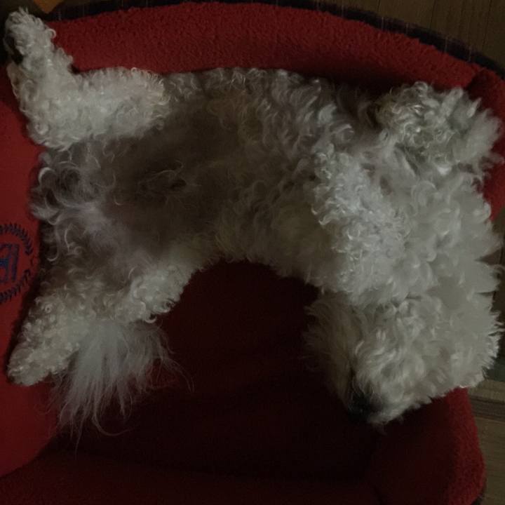 Cbe6b951 216c 4b82 a3f9 d86e68b3963b