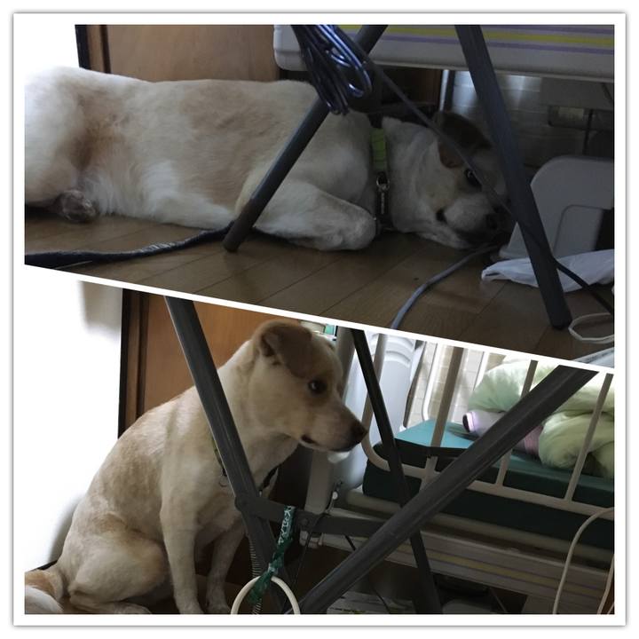 Cbe77df5 5aff 45e0 a625 3a51116482a0