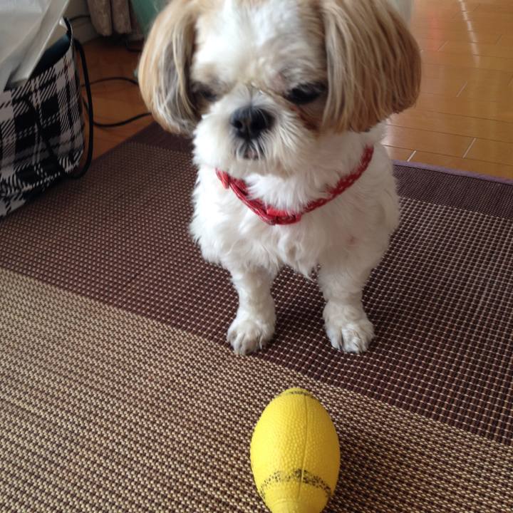 Cbe79ba3 6399 4641 9af0 652955a51eb0