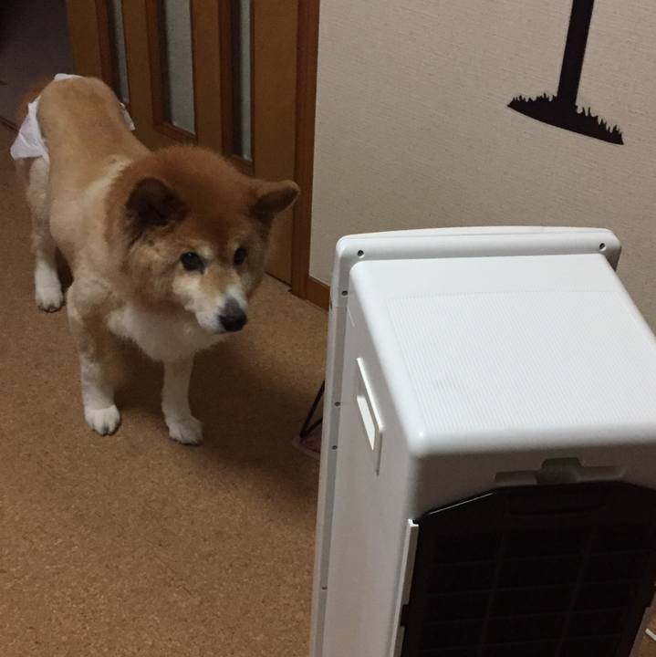 Cbe7b632 b0fd 462c be0e da107b46c4d4