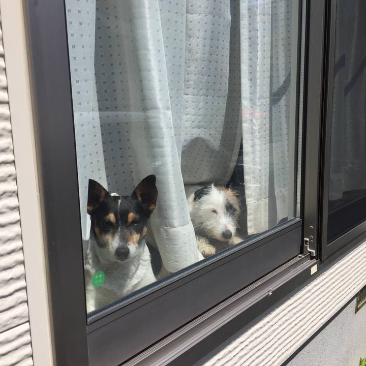 Cbe7c749 e7d9 4972 a62e ede5c5749803