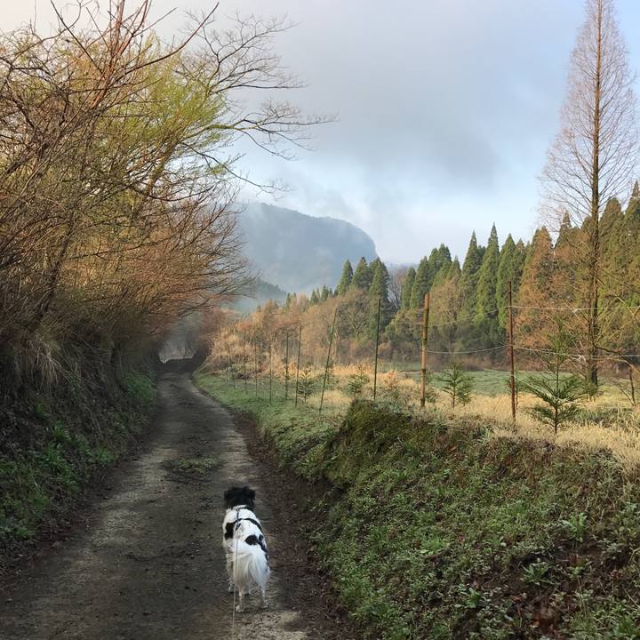 Cbe83518 24e8 4988 858e ca455e3424dc