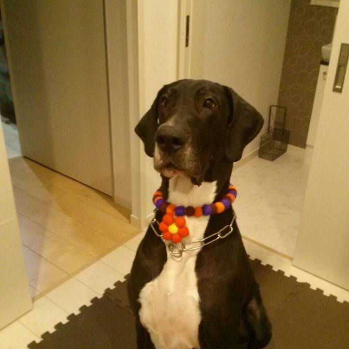 Cbe8eb29 7650 4e4c 9936 7bc48f3b5a53