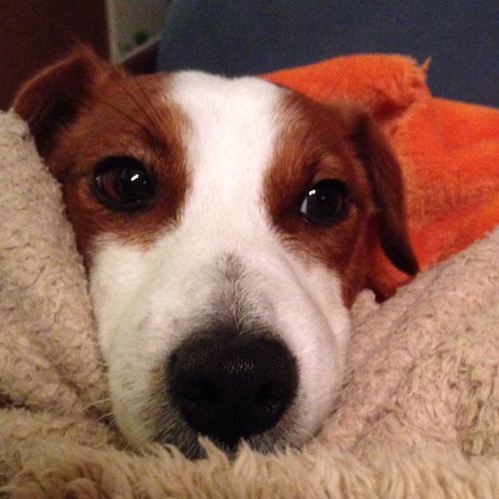 Cbe90a6d ff07 47af b6dd 4ca2ea7c38f0