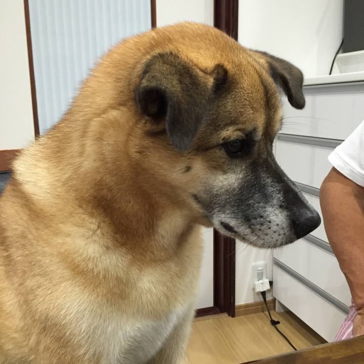 Cbe917b2 b434 4431 a82e 22a3da92f378