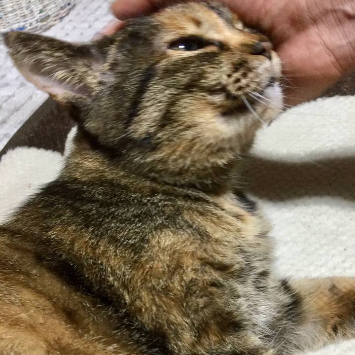 Cbe9c439 f7a3 4005 852c 8be11b9c73e2