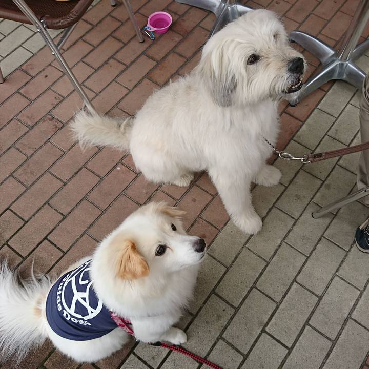 Cbe9f9b5 b0a4 40e6 8d22 b3c6a2c1a174