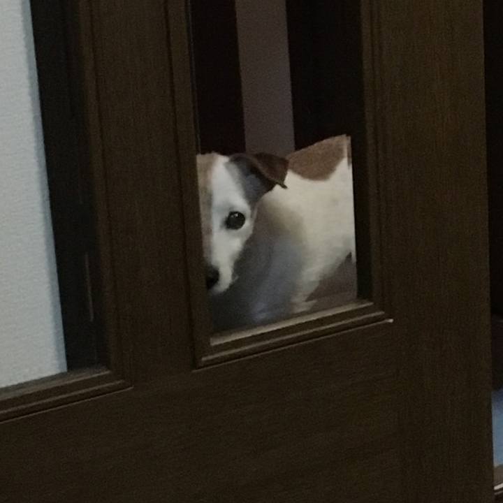 Cbea5e9d f21e 4910 a6d3 d6750658ecd7