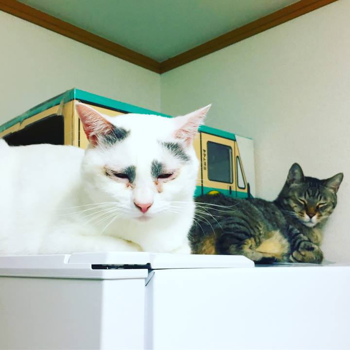 Cbea6a6a 964f 411d 9f72 d428f06133ad