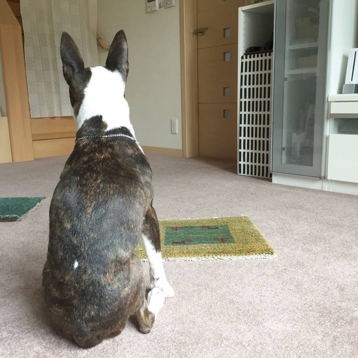 Cbeb077a de1d 4ab4 9cf6 2652c5e07977