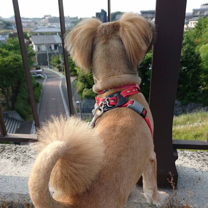 Cbeba886 2200 4e06 8761 90d87a75974d