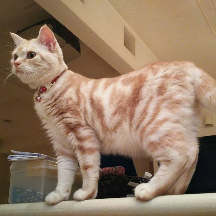 Cbec38fc 079b 41aa 8f6d 1429b8ba8c8b