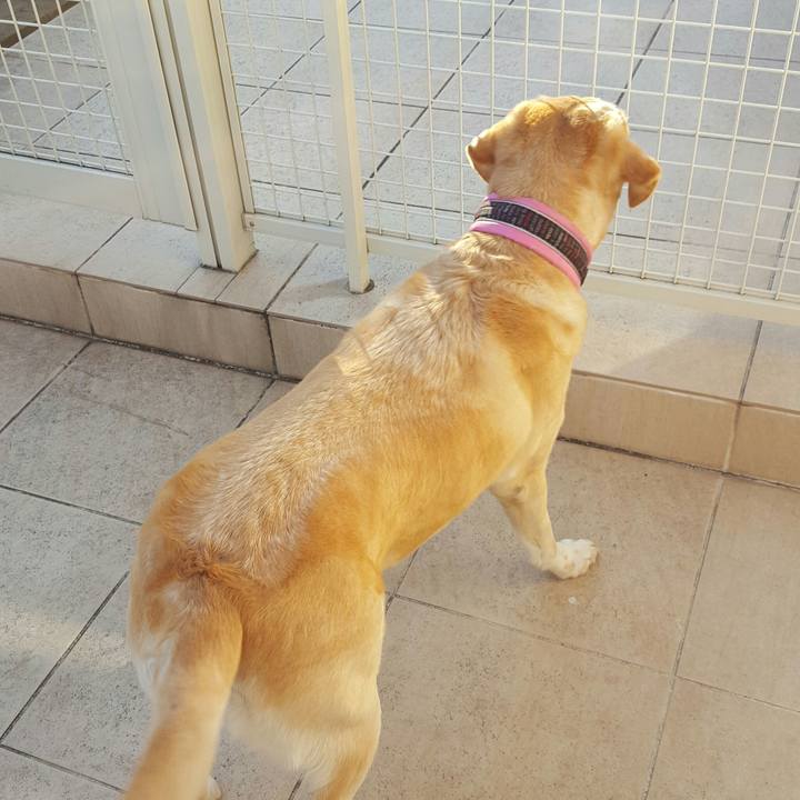 Cbecc0ae b205 4b76 b7c7 b52a193448ec