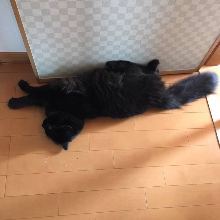 Cbece6ce 9b6e 46fa 9645 4200bfd77f5f