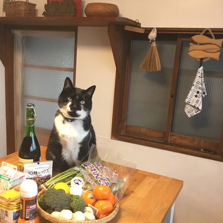 Cbecf06a c1fe 47b9 b3d4 8a917b750ab7