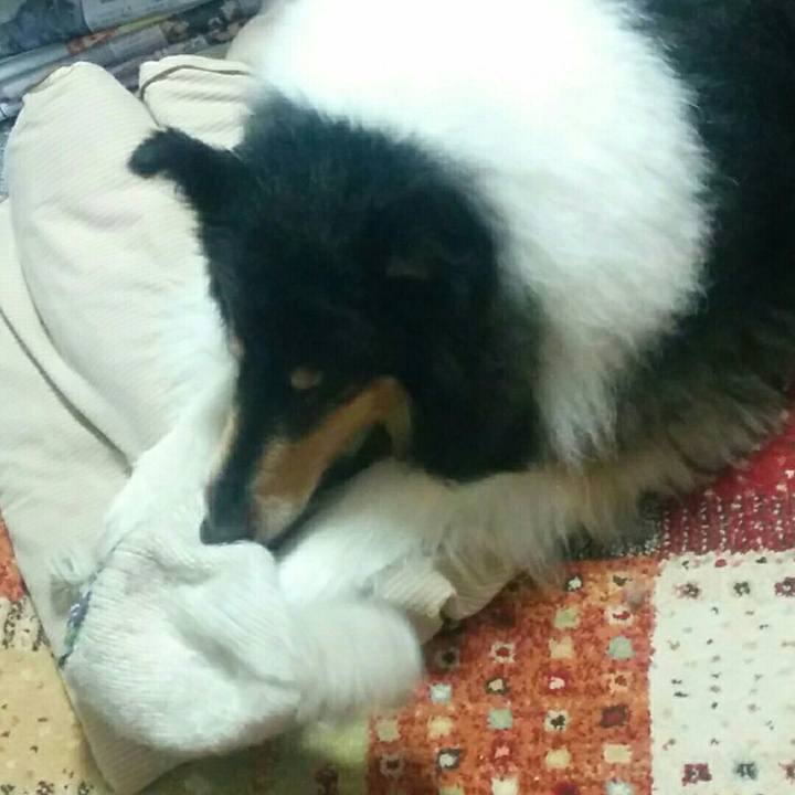 Cbecf593 4e26 4165 833b ee5ac67433a3