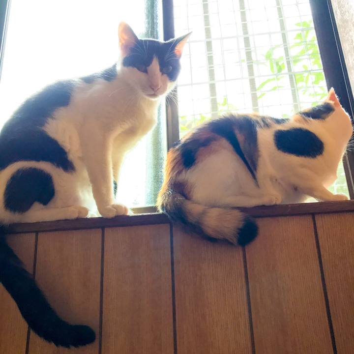 Cbecf7bc 5d40 4fdf 8a5d 13cdd27dc64b