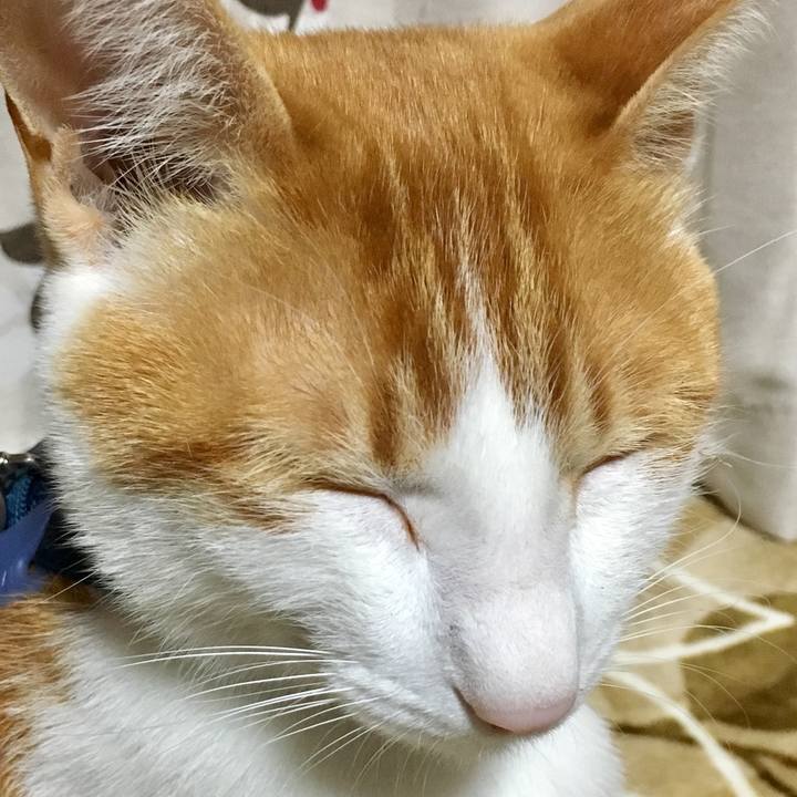 Cbed42bd adec 45f6 b8e2 4d4a77ee9831