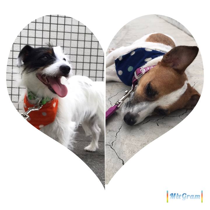 Cbedd013 c17f 4a6e b93e 7adbb704a246