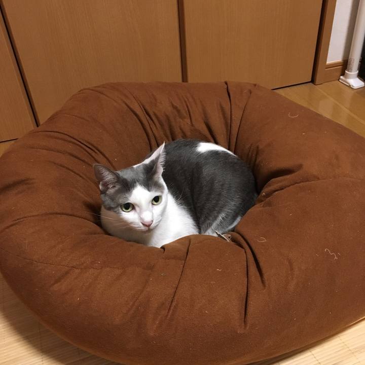 Cbee0de2 aa28 42d4 a09b f0b35928aedb