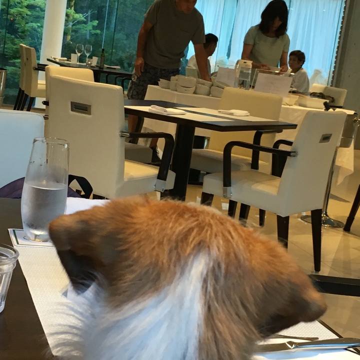 Cbee2925 815b 4845 b0ac 6575fb048bf3