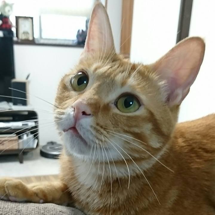 Cbee6a2b fdd0 4d8a 9032 b80700be25c6