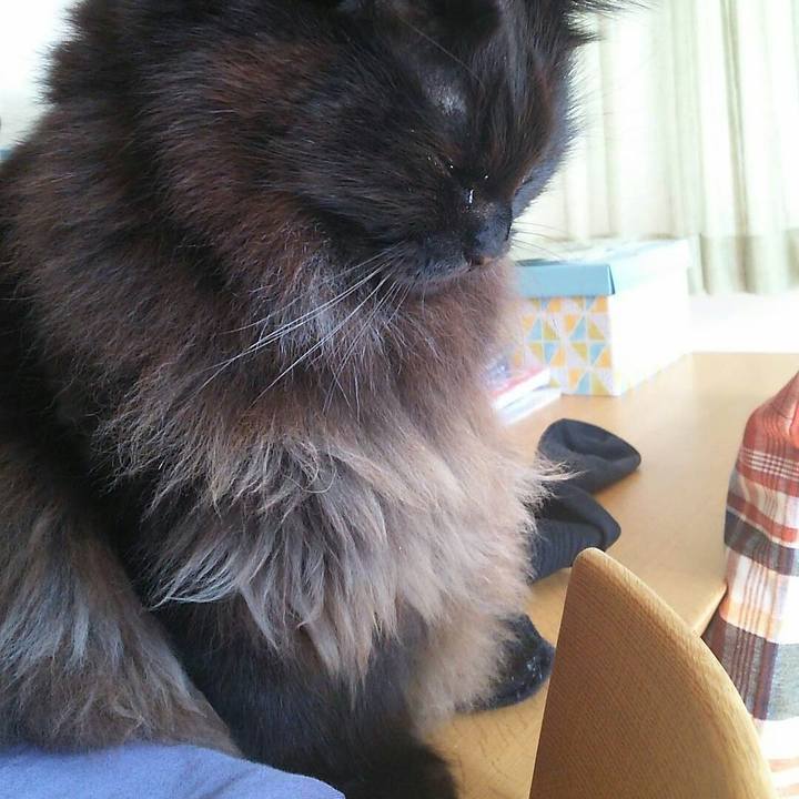 Cbee9f00 977d 4bfc aca5 ecd7fadb1794