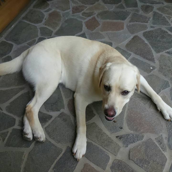 Cbef2d0a 157f 4c5e b1fe 64c3dccfbae3