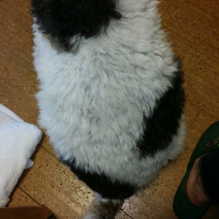 Cbef3c87 ce69 4671 88fa 8d25a654bf55