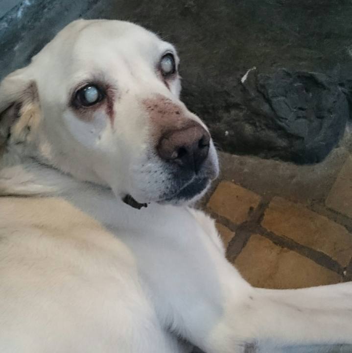 Cbef97d4 2575 4010 a3a5 072ed9f4e9c6