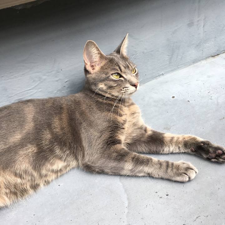 Cbf06329 eac8 495d 9a2e 03323441f1ab