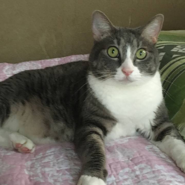 Cbf0cb9b 5a47 436e b7ff ff7f0d31e56e