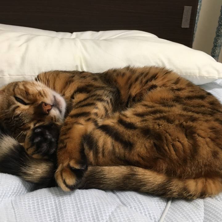 Cbf0cc7b 05e7 4fb8 aca0 091b6fd3d6a2