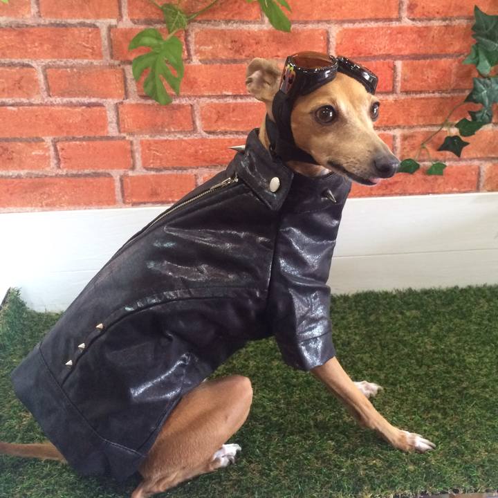 Cbf18837 6c03 4ed9 baa0 11bcc7492e8e